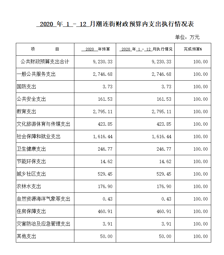 2020年1-12月潮連街財(cái)政預(yù)算內(nèi)支出執(zhí)行情況表.png